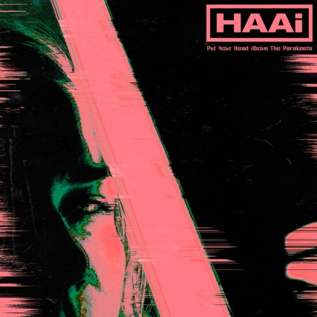 Haai