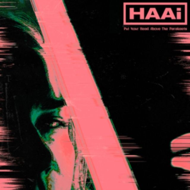 Haai