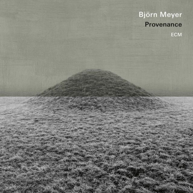 Bjorn Meyer