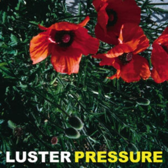 Luster