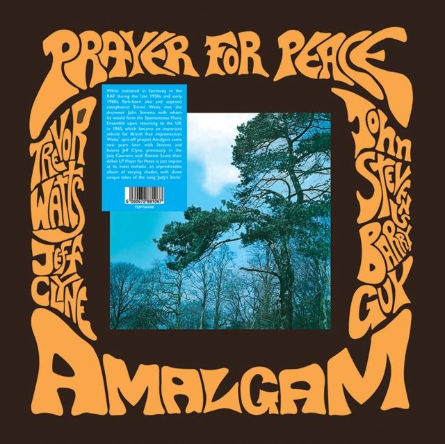 Amalgam