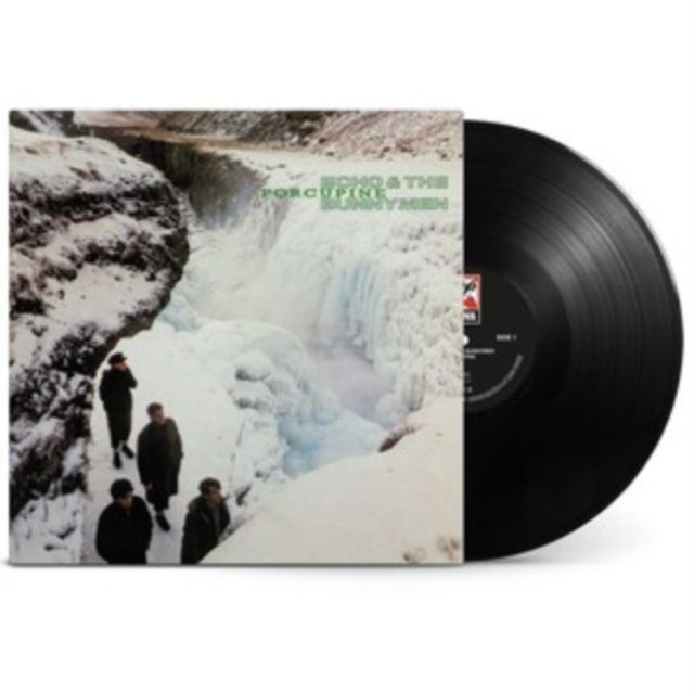 Echo & The Bunnymen