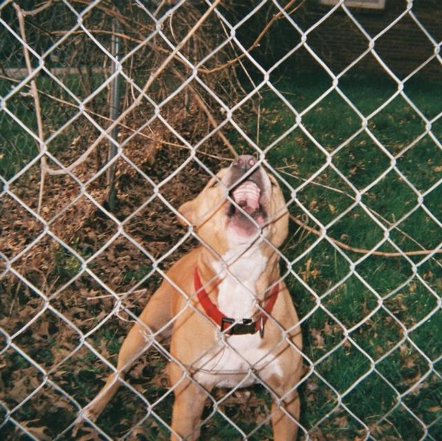 Knocked Loose