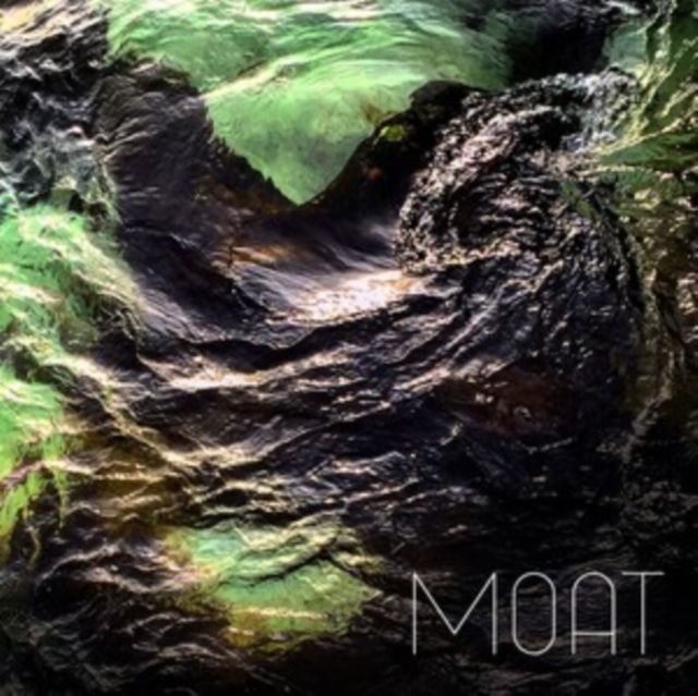 Moat