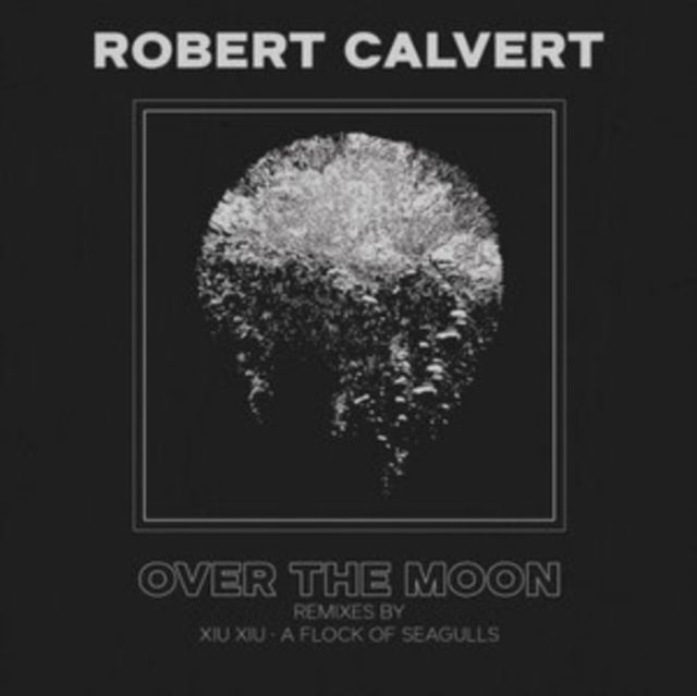 Robert Calvert