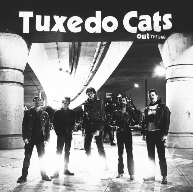 Tuxedo Cats