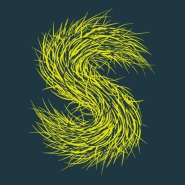 Strings Of Consciousness