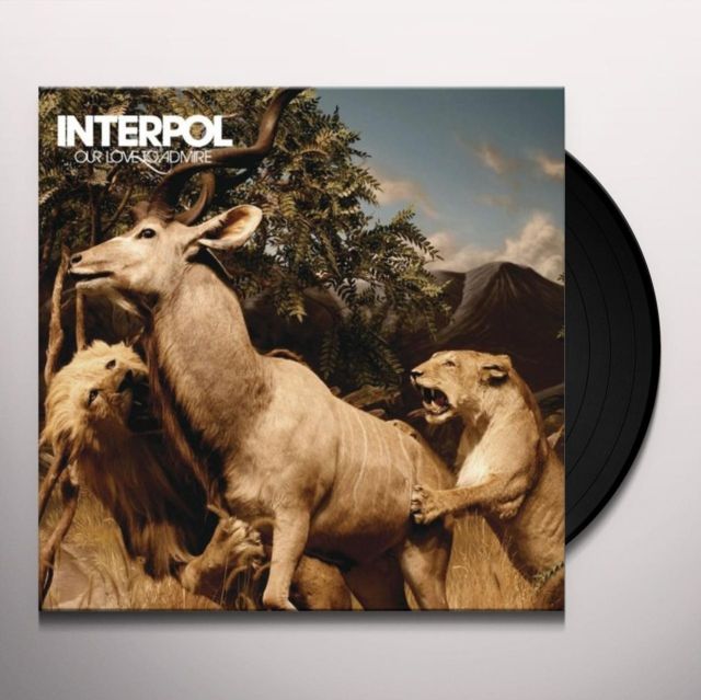 Interpol