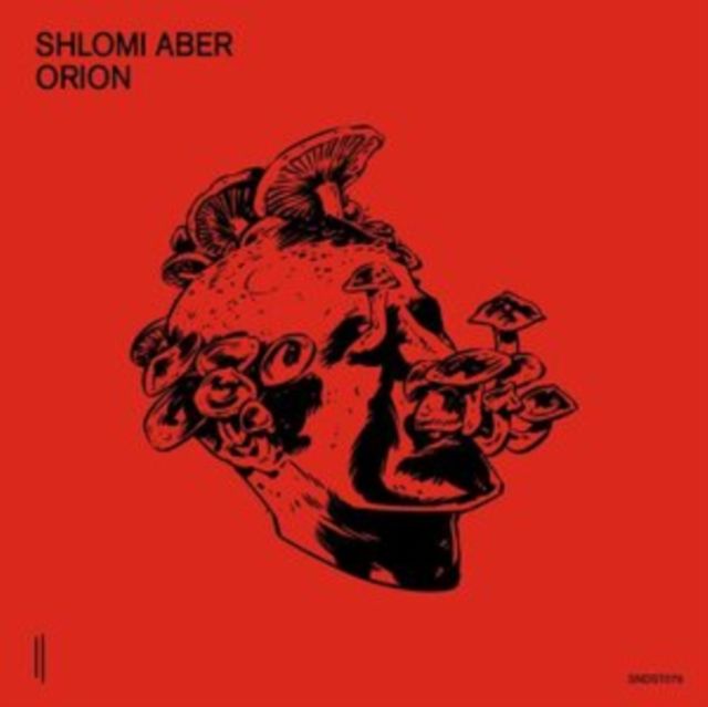 Shlomi Aber
