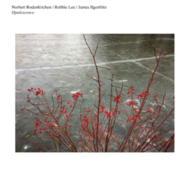 Norbert Rodenkirchen / Robbie Lee / James Ilgenfritz