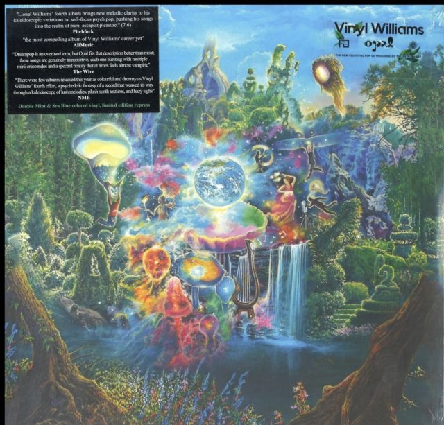 Vinyl Williams