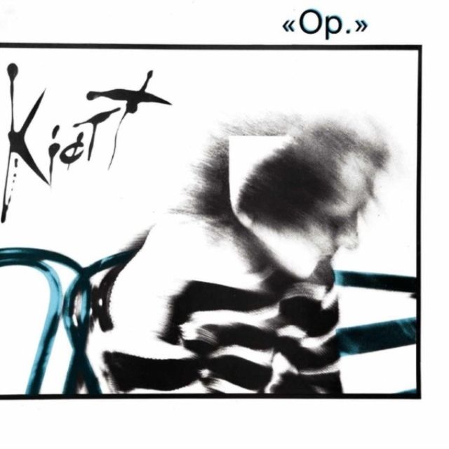 Kjott