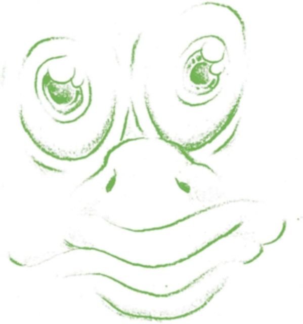 Oogbogo