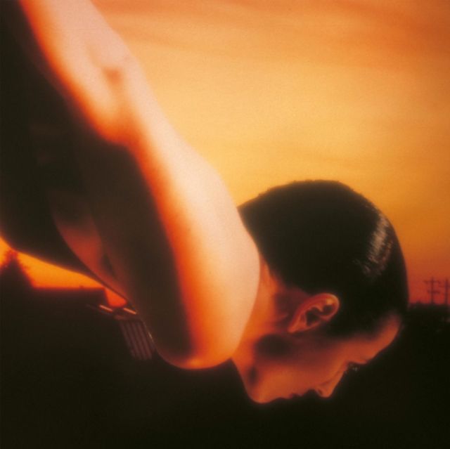 Porcupine Tree
