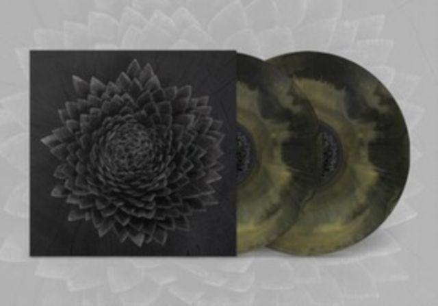 Jonsi