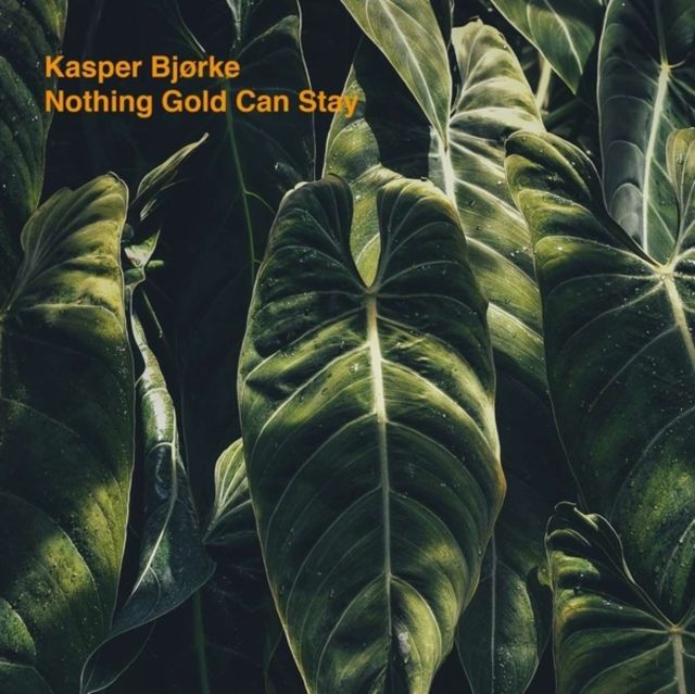 Kasper Bjorke