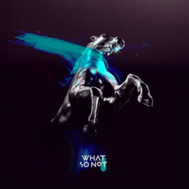 What So Not