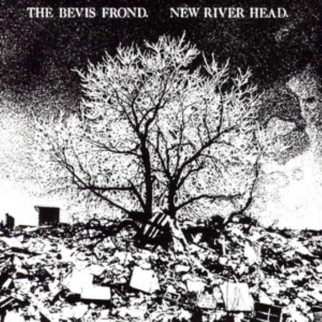 Bevis Frond