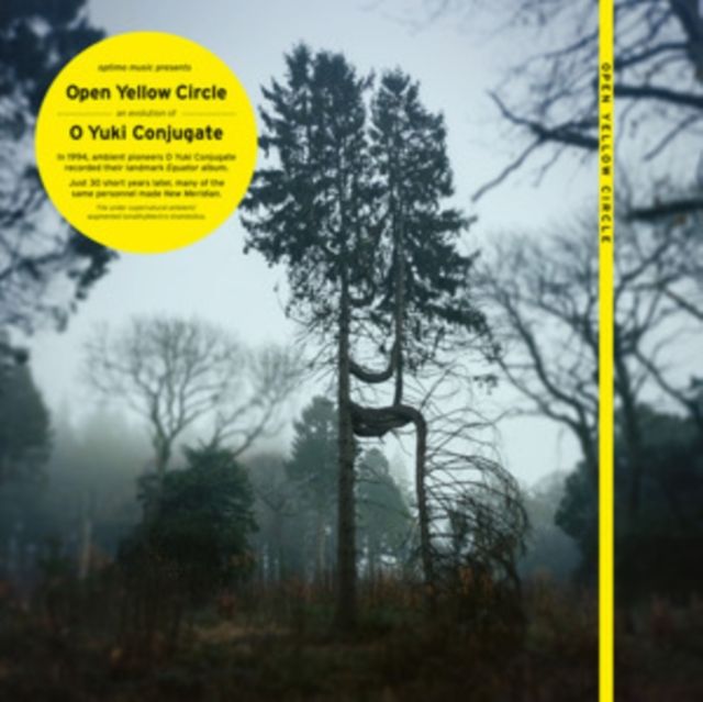 Open Yellow Circle / O Yuki Co