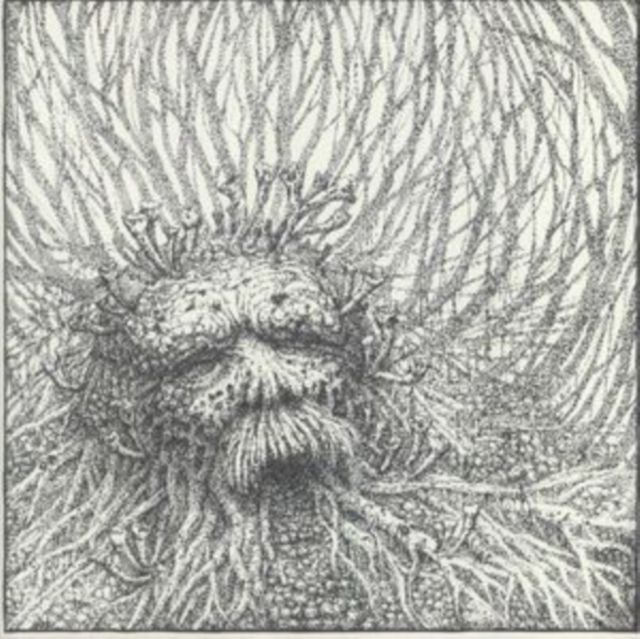 Nemorous