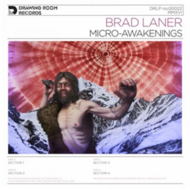 Brad Laner