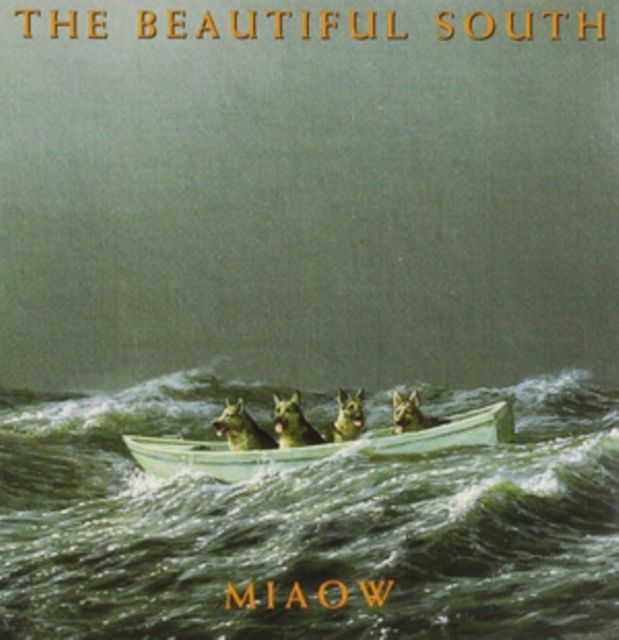 Beautiful South