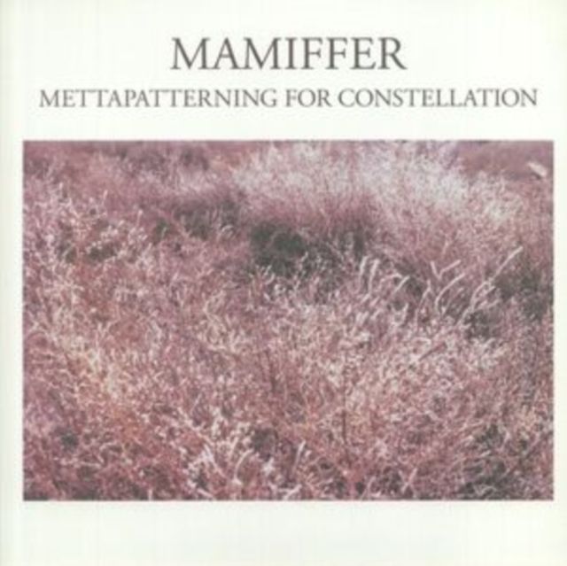 Mamiffer