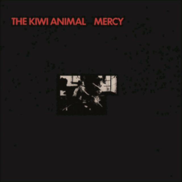 Kiwi Animal
