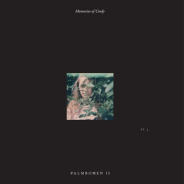 Palmbomen Ii