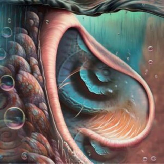 Various Artists