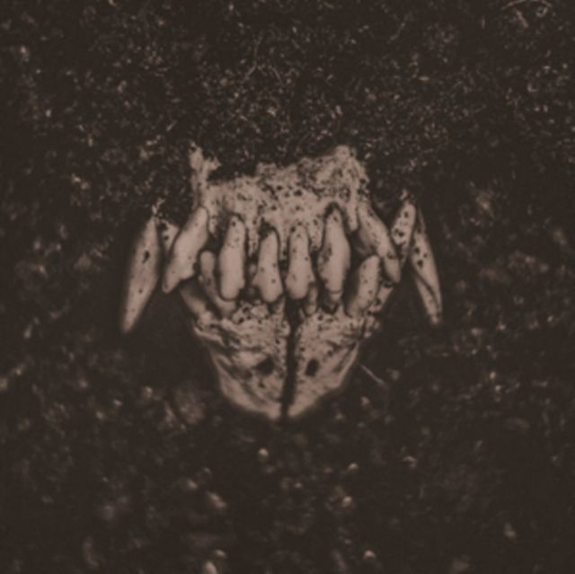 Amenra