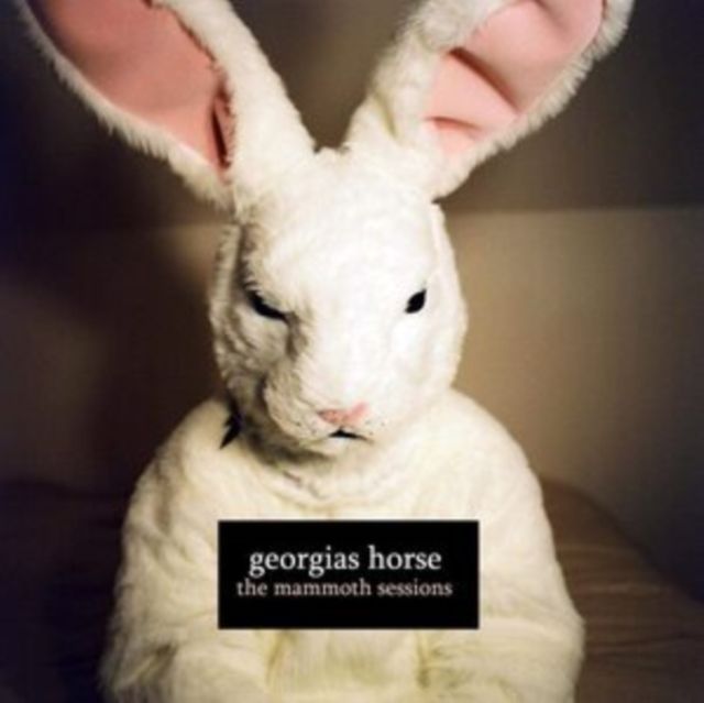 Georgias Horse