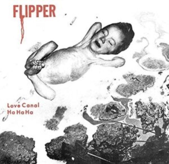 Flipper