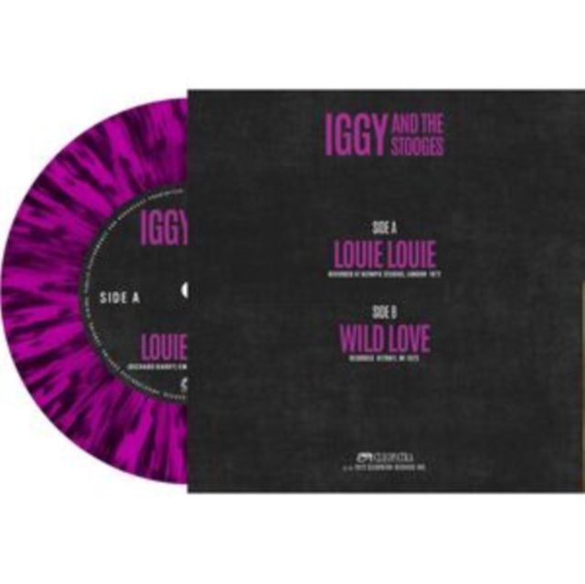 Igg And The Stooges