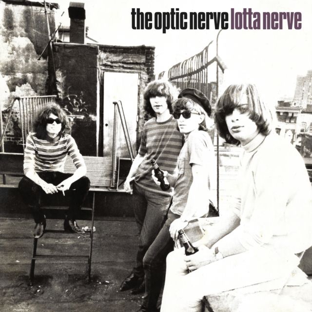 Optic Nerve