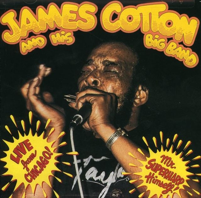 James Cotton & His Big Band