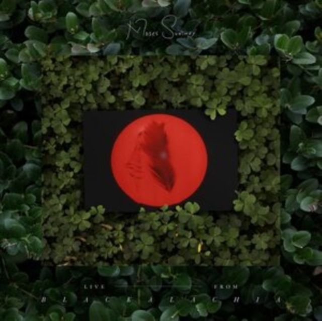 Moses Sumney