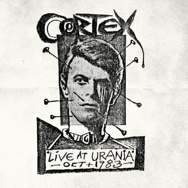 Cortex