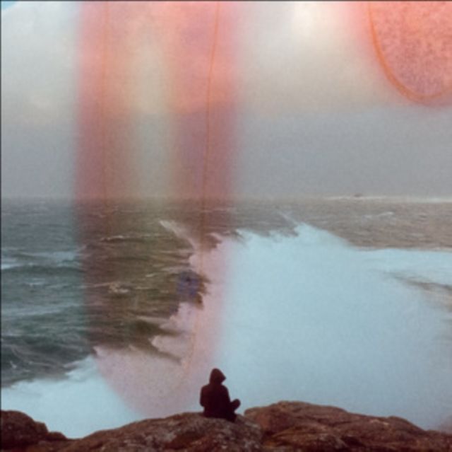 A Blaze Of Feather A Blaze Of Feather