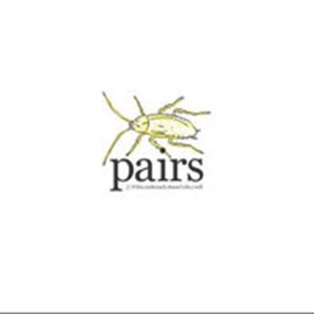 Pairs