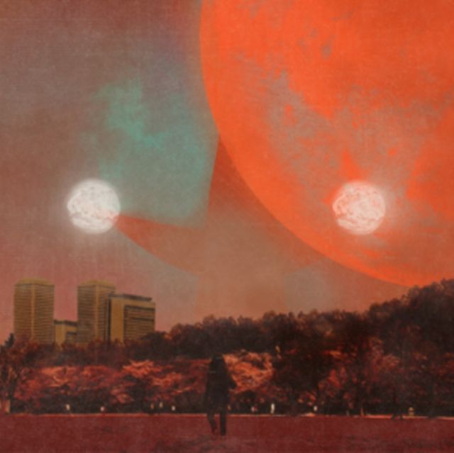 Erika Dohi Erika Dohi