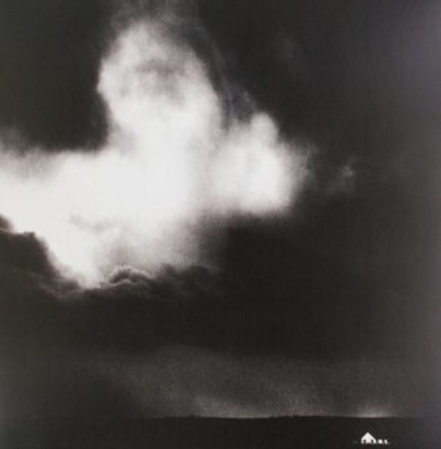 A Blaze Of Feather A Blaze Of Feather