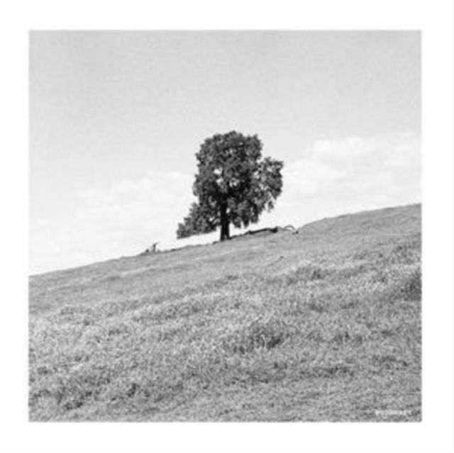 Blank Gloss Blank Gloss