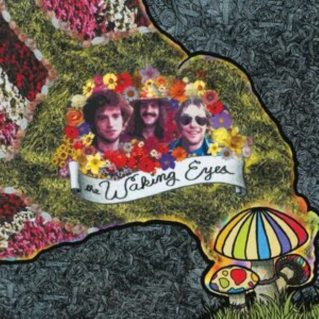 Waking Eyes Waking Eyes