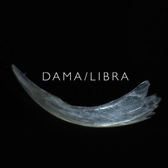 Dama/Libra