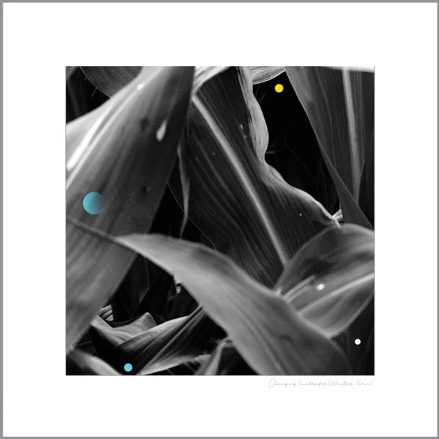 Arthur King Arthur King