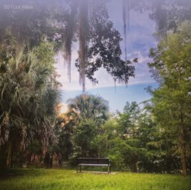 50 Foot Wave 50 Foot Wave