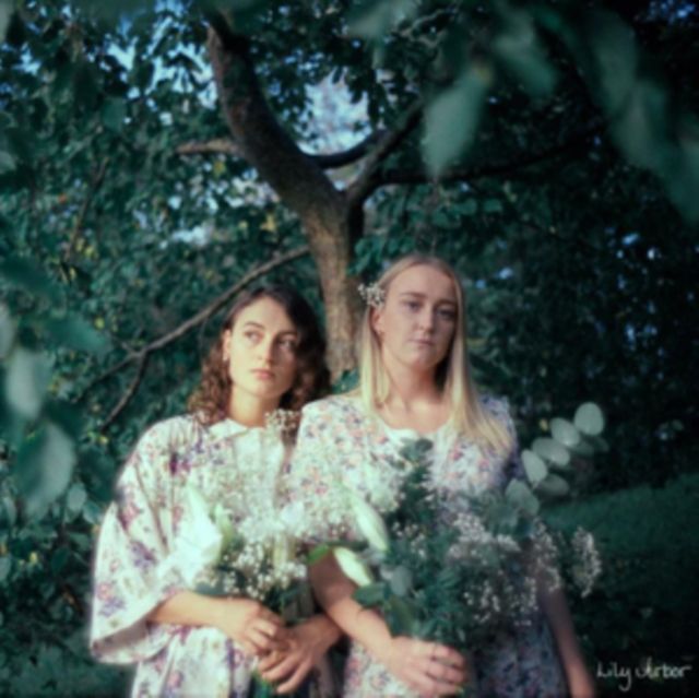 Arbor Lily Arbor Lily