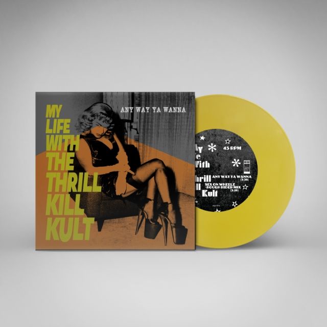 My Life With The Thrill Kill Kult