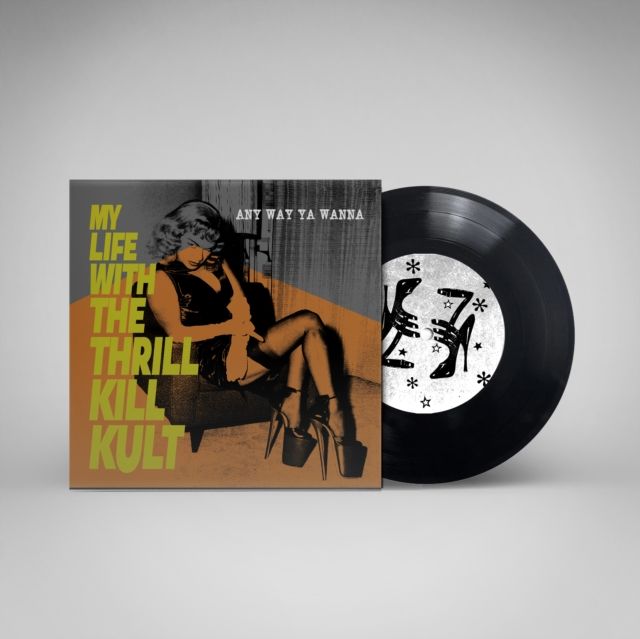 My Life With The Thrill Kill Kult